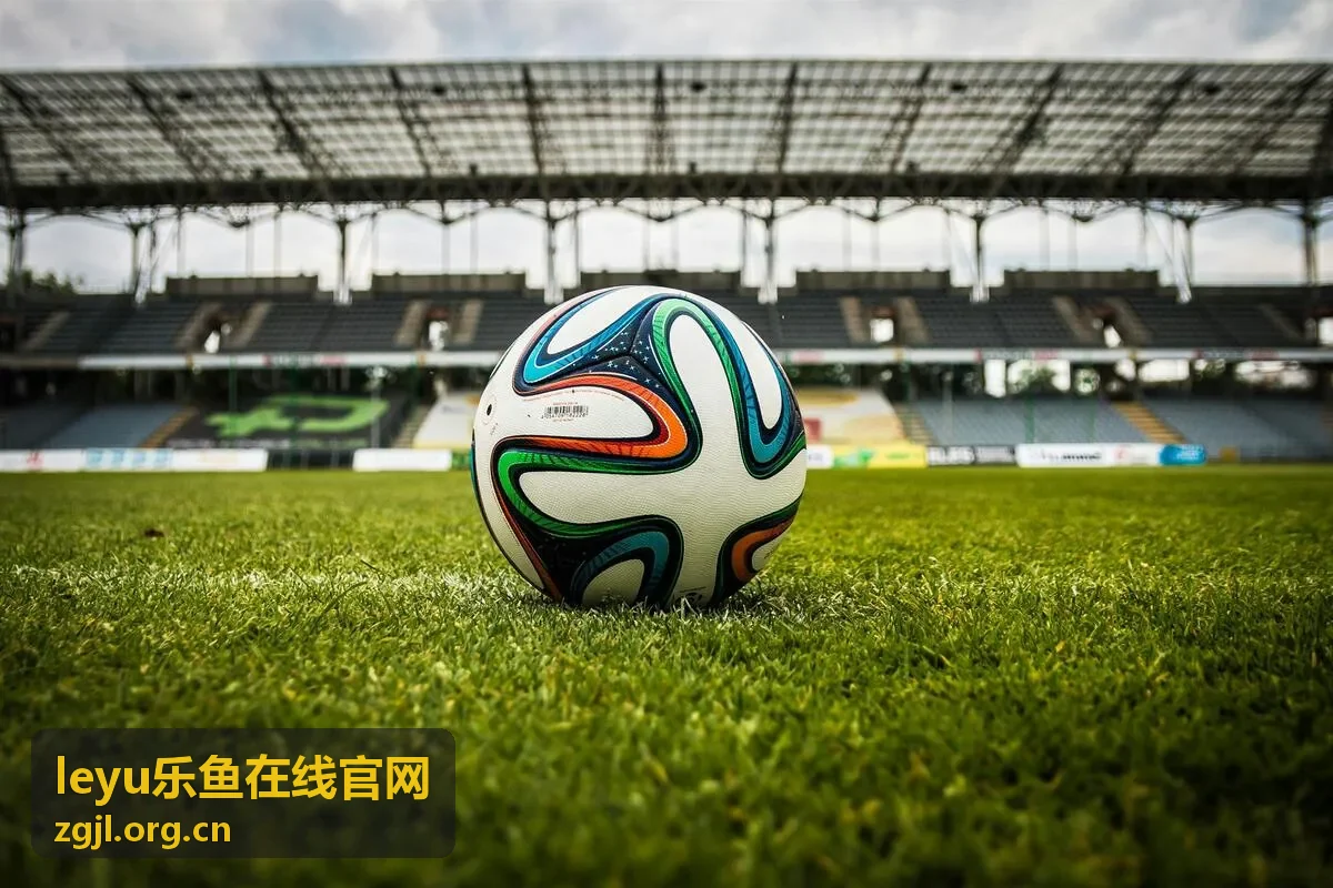 leyu乐鱼在线官网平台访问指引背景图