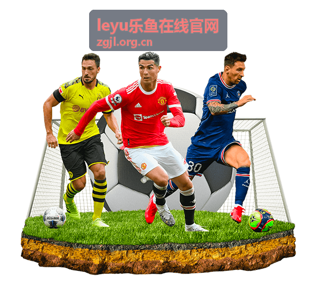 leyu乐鱼在线官网服务支持概览