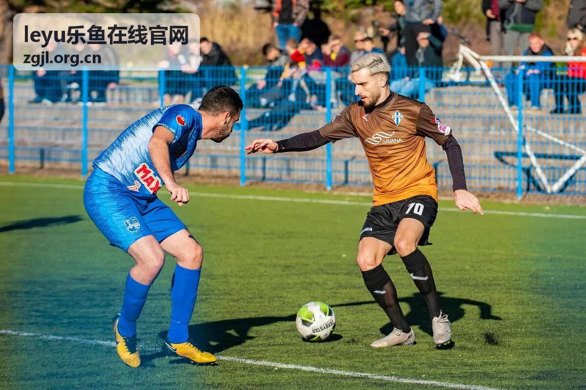 leyu乐鱼在线官网反馈与人工帮助