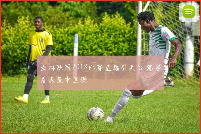 女排欧冠2018比赛直播引关注 赛事看点集中呈现