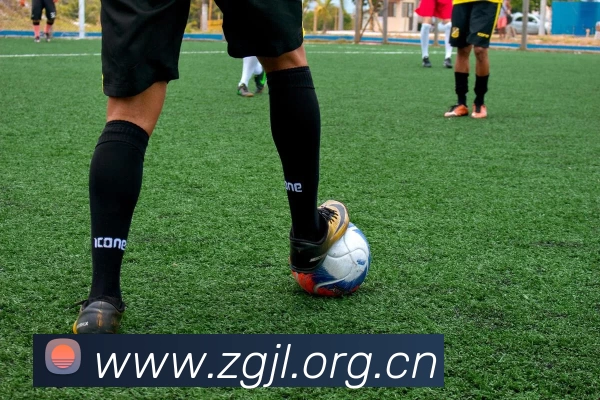 滚球官网app平台生态图