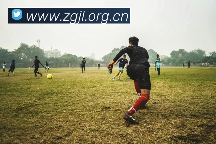 滚球官网appAPP 封面图